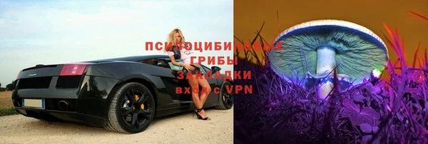 шишки Шали