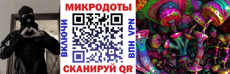 Псилоцибиновые грибы Cubensis Купить где Миньяр
